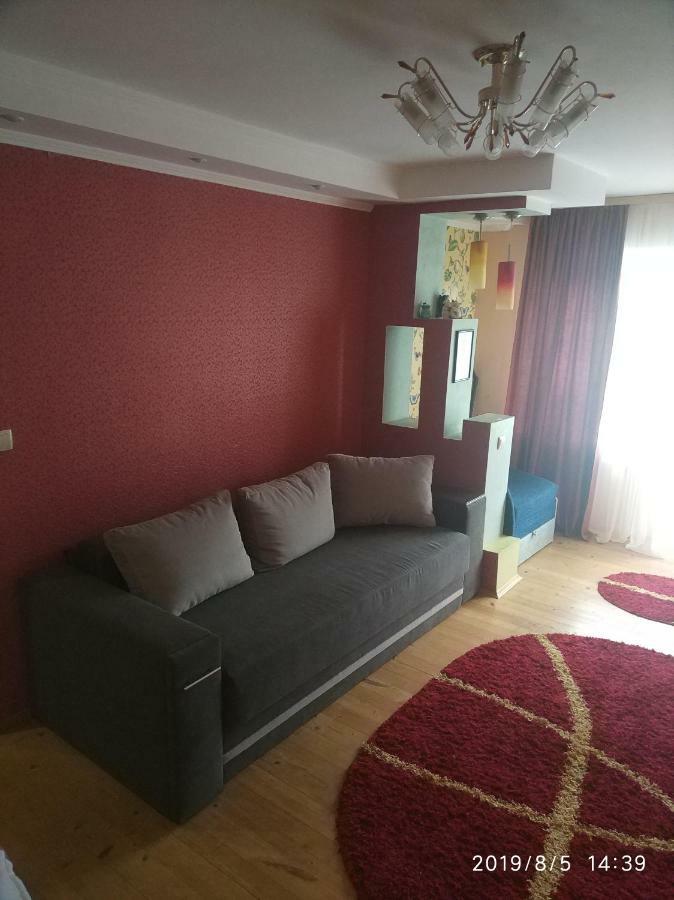 Apartment On Danyla Galytskogo 8A 莫申 外观 照片